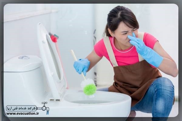 شرکت  خدمات فنی اریا